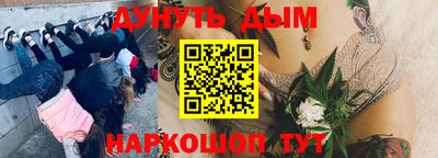 прущие грибы Краснознаменск